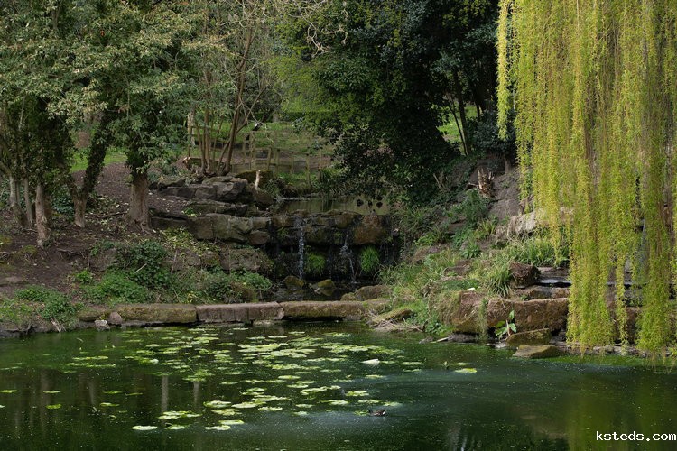 便携式氨氮测定仪