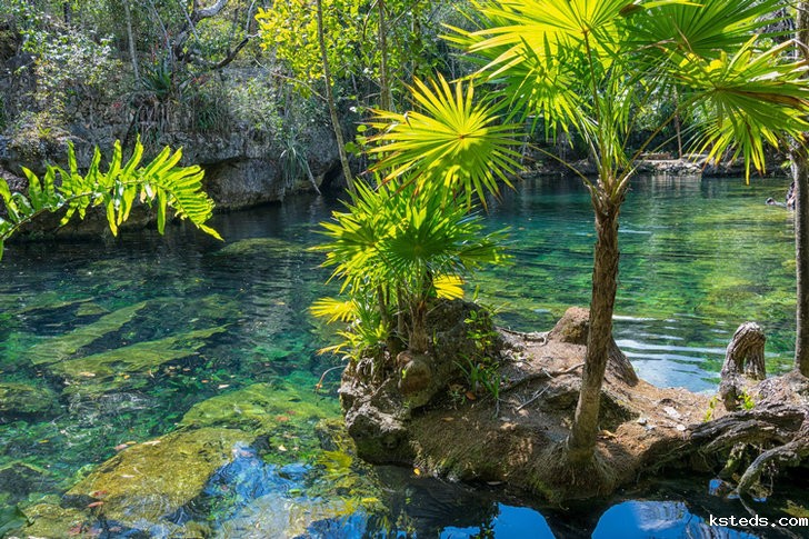 氨氮分析 氨氮分析