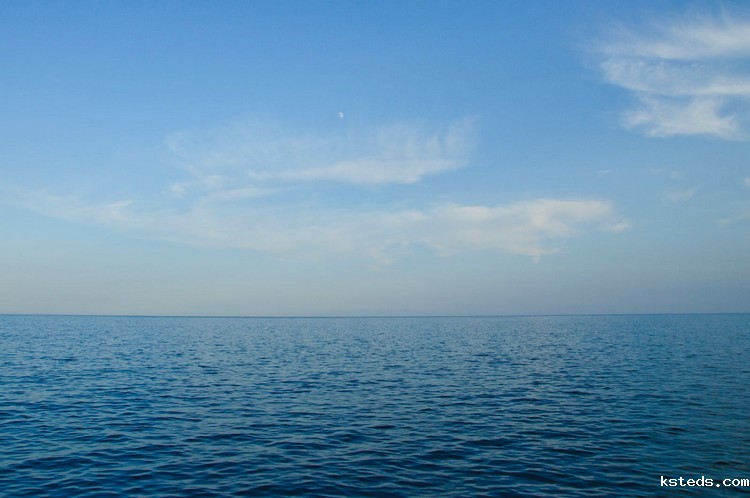 1666855618370536.jpg COD检测 (24).jpg