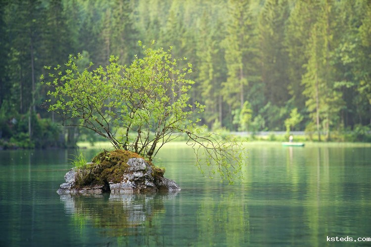 台式精密色度仪