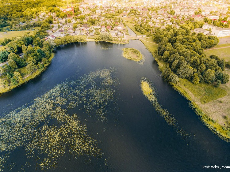 精密浊度测定仪