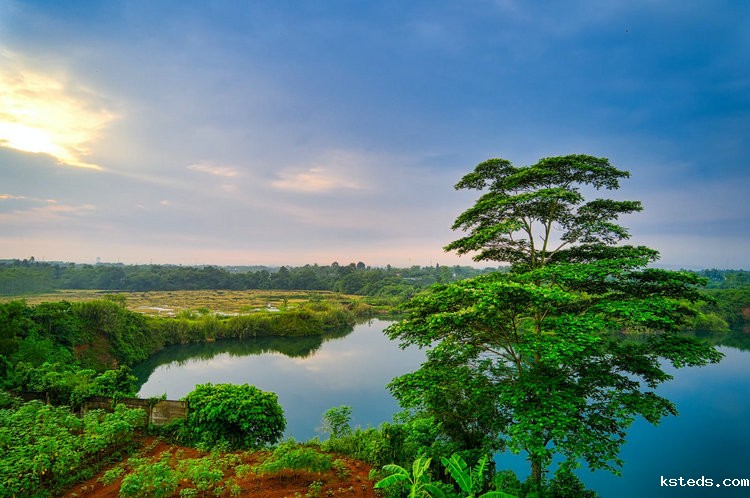台式COD总磷总氮测定仪