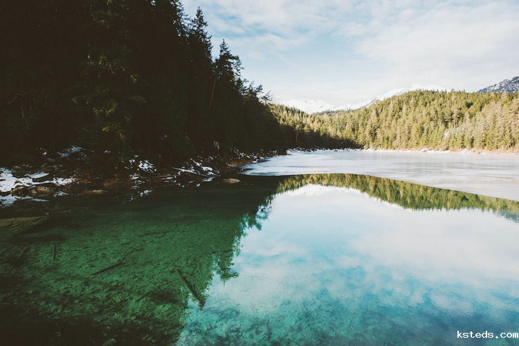 多功能食品快速检测仪