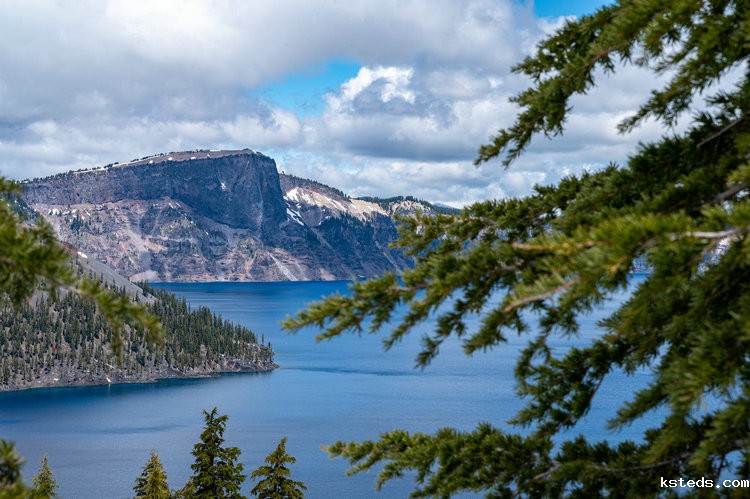 经济型总氮测定仪