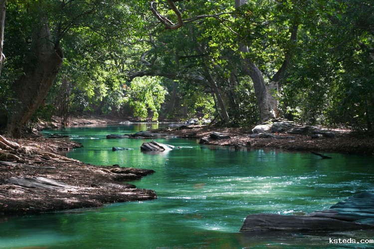 COD检测 (104).jpeg