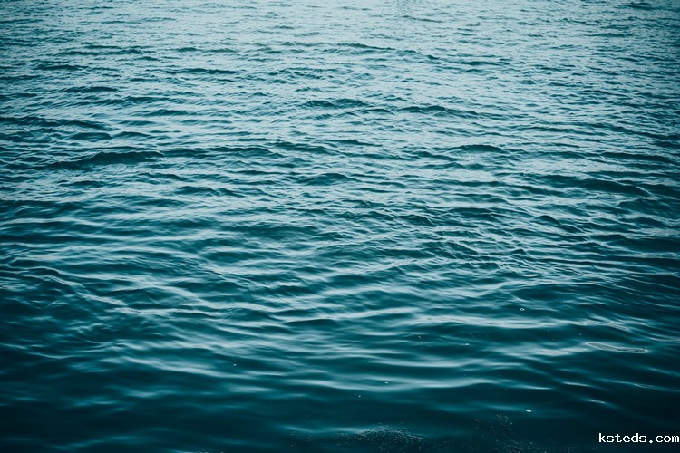 COD检测 (106).jpeg