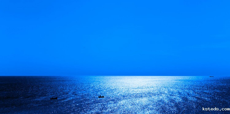 COD检测 (113).jpeg