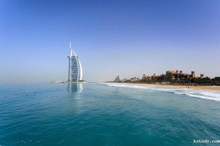 COD检测 (115).jpeg