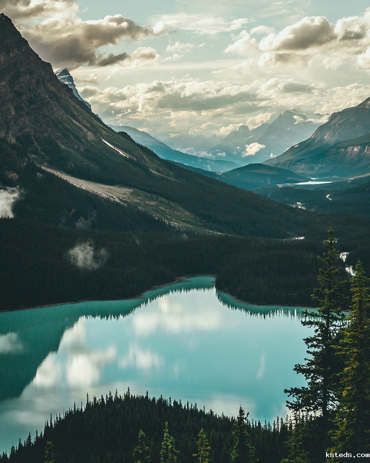 COD检测 (118).jpeg