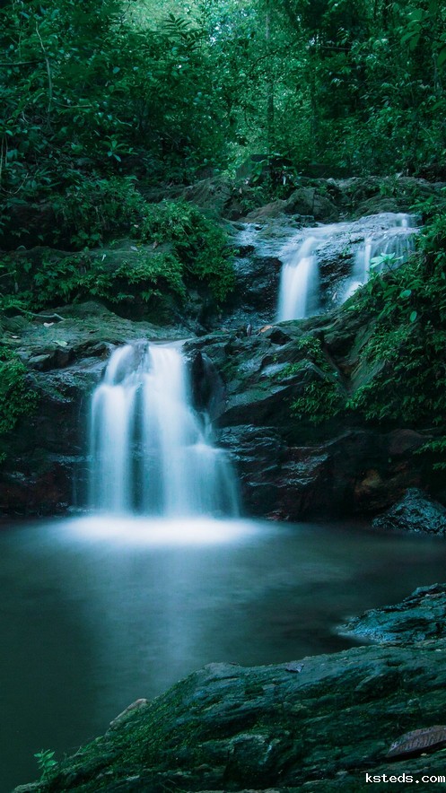 COD检测 (142).jpeg