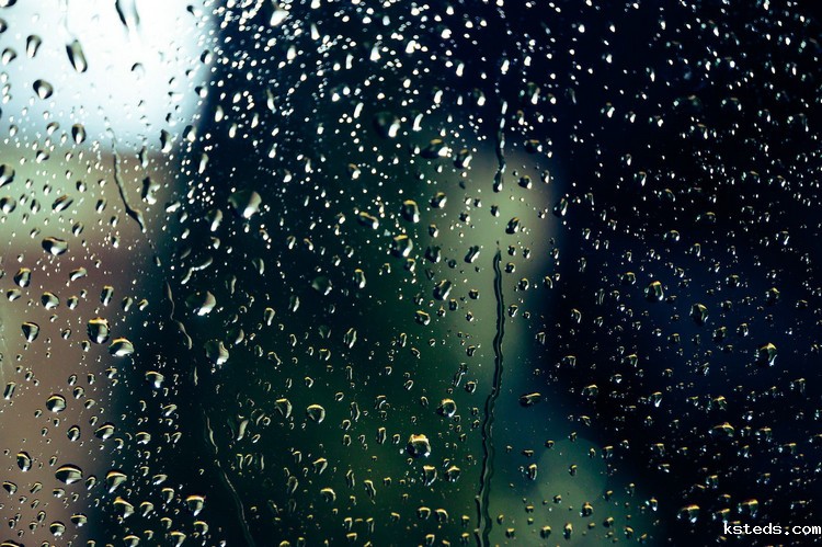 COD测定仪 COD测定仪