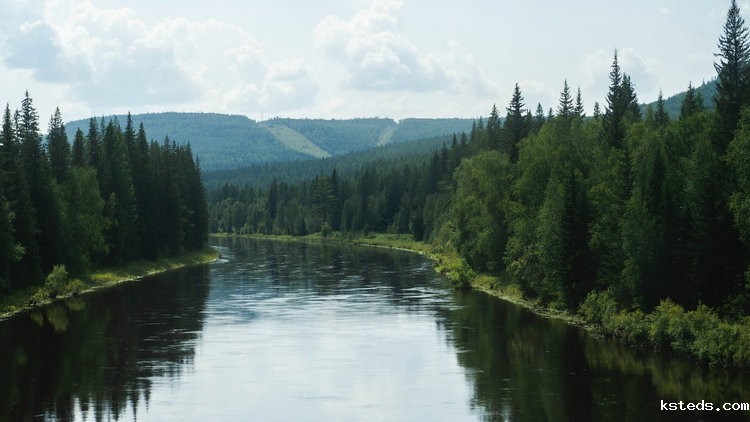 二氧化硫检测技术