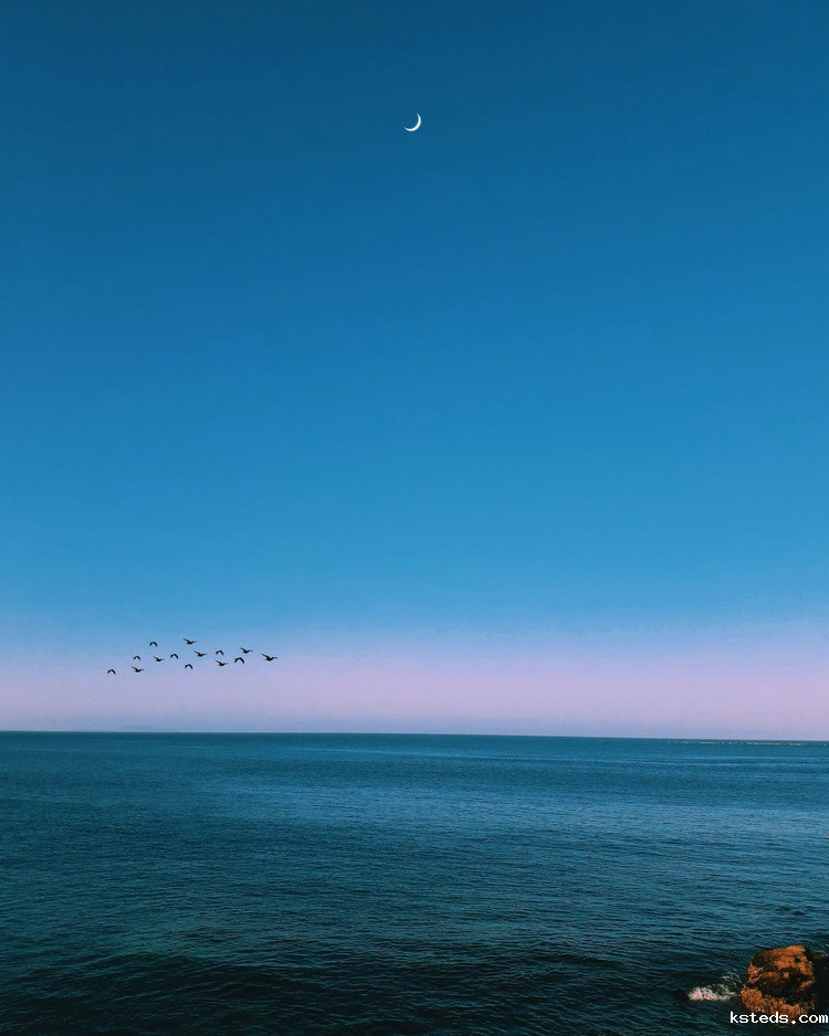 COD氨氮测定仪 COD氨氮测定仪