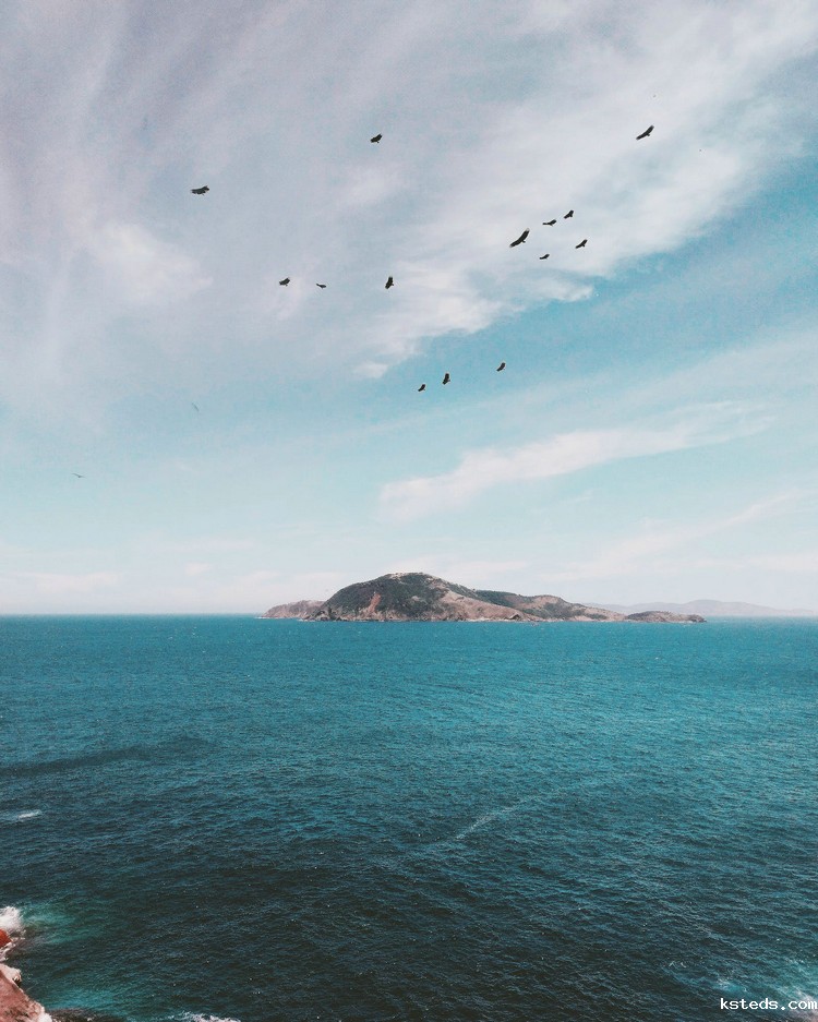 COD消解器 COD消解器