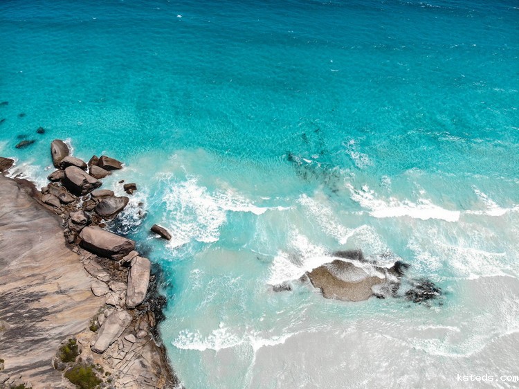 新利官网官方网站