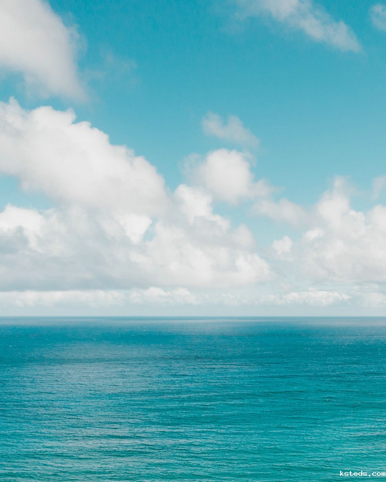 cod测定仪 cod测定仪