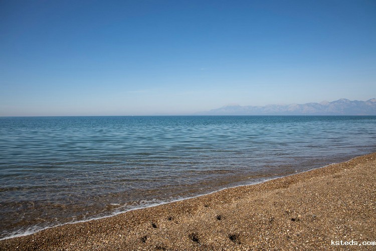 氨氮快速测定仪