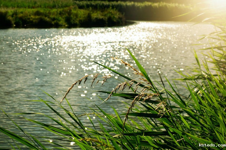 cod高低浓度 cod高低浓度