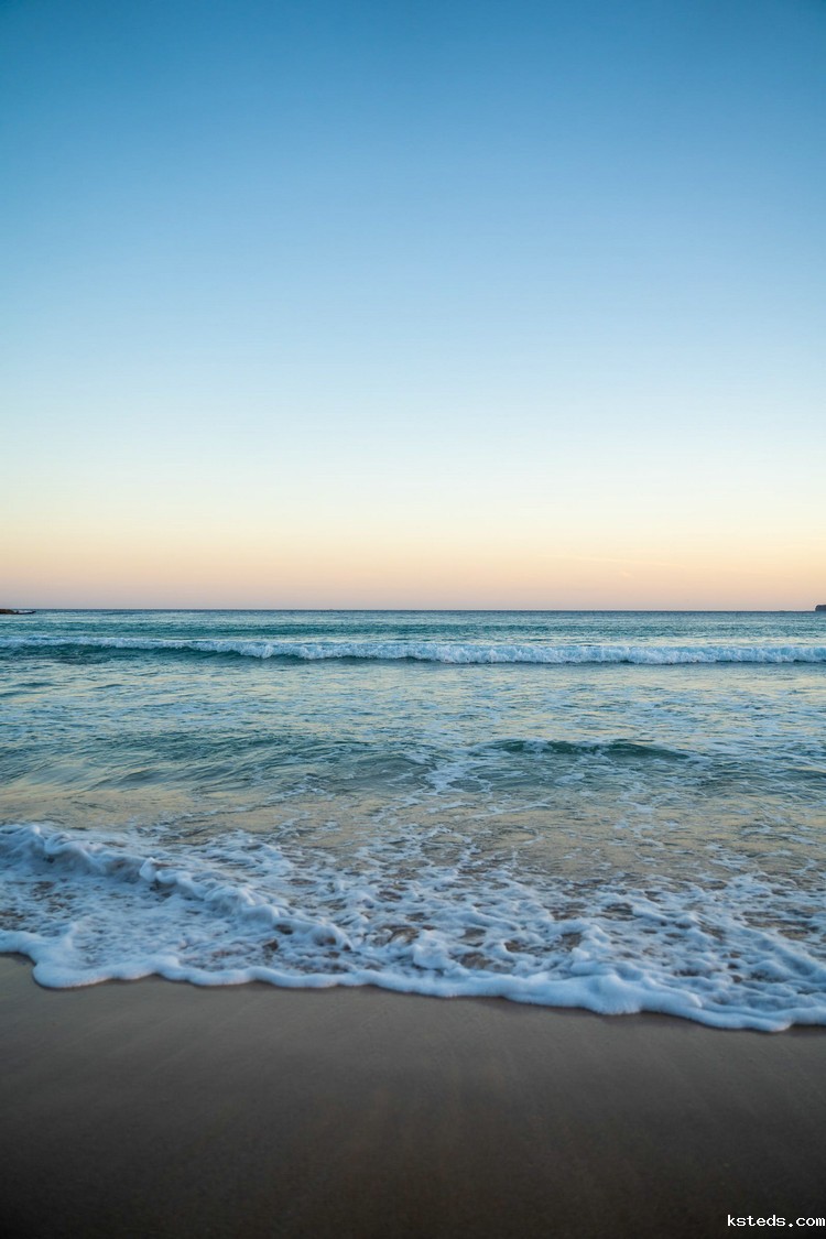 COD测定仪 COD测定仪