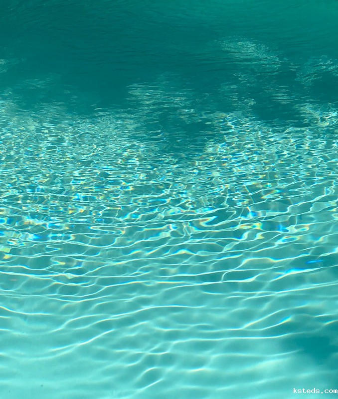 重铬酸钾法 重铬酸钾法