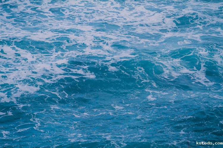 新利官网官方网站