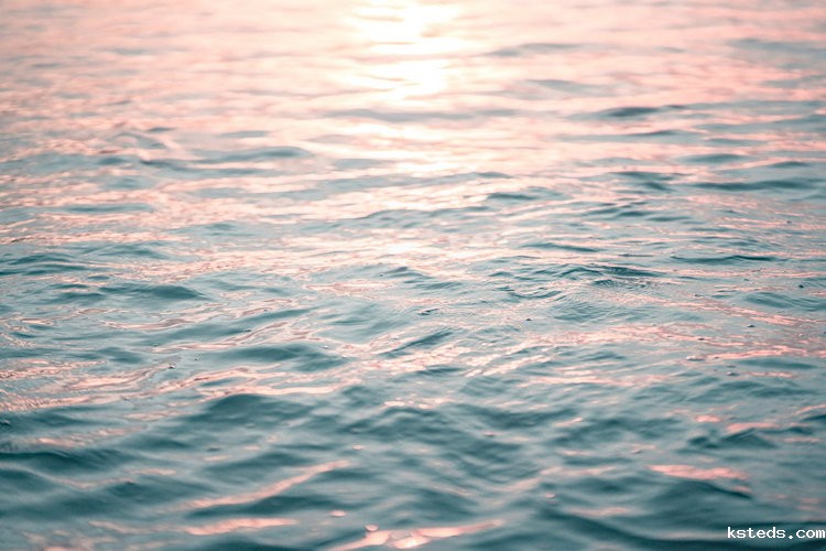 水质cod快速测定仪