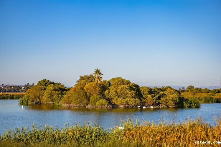 cod检测仪 cod检测仪