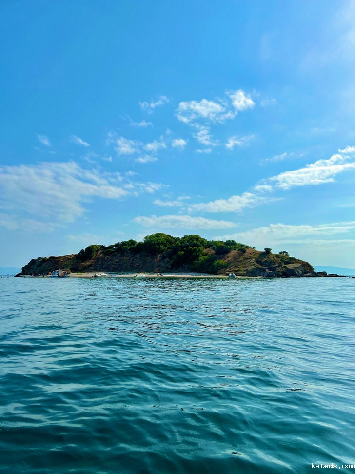 氨氮超标 氨氮超标