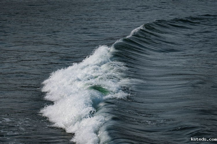 COD消解器 COD消解器