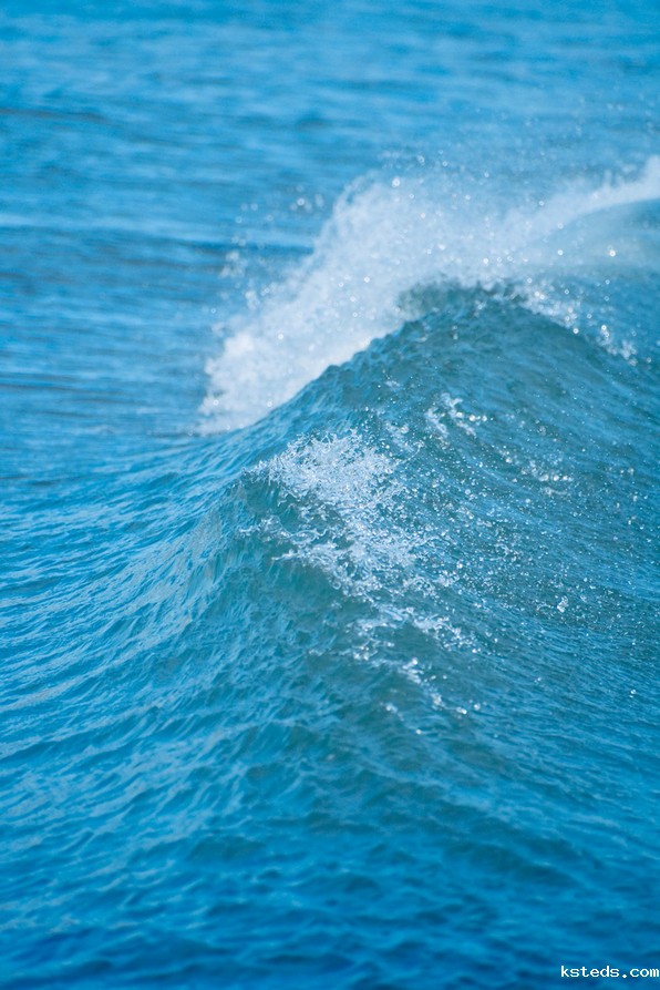 总磷检测仪 总磷检测仪