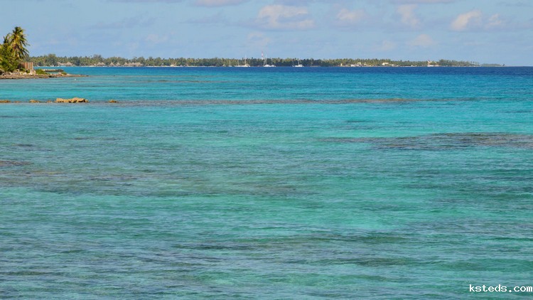 氨氮测定仪 氨氮测定仪