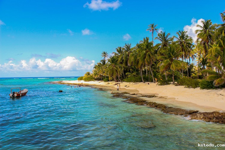 COD消解仪 COD消解仪