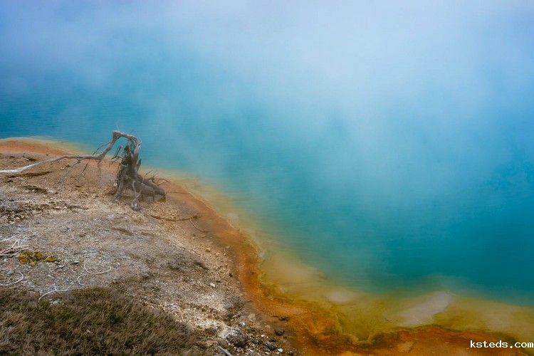 重铬酸盐法 重铬酸盐法