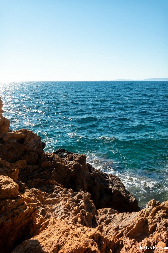水质重金属检测仪