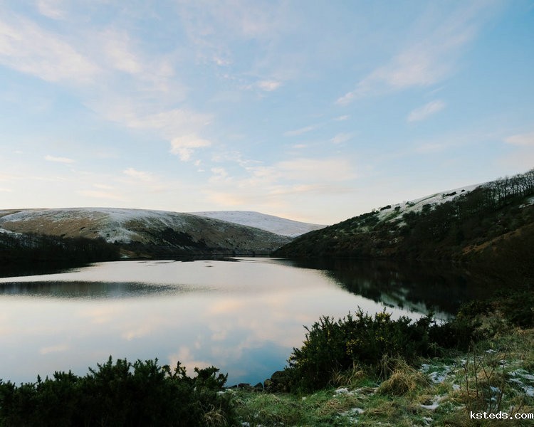 COD在线监测 COD在线监测