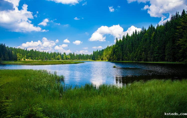 测定氨氮 测定氨氮