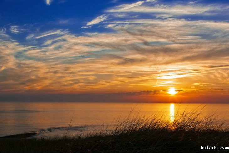 工业在线浊度仪