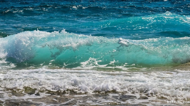 在线式余氯检测仪