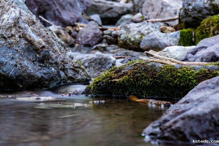 余氯、总氯、化合氯检测仪 余氯、总氯、化合氯检测仪
