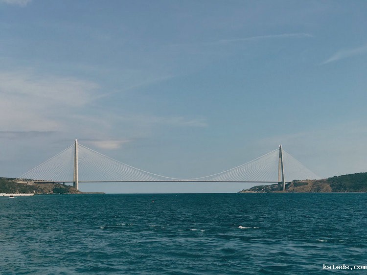 在线余氯测试仪