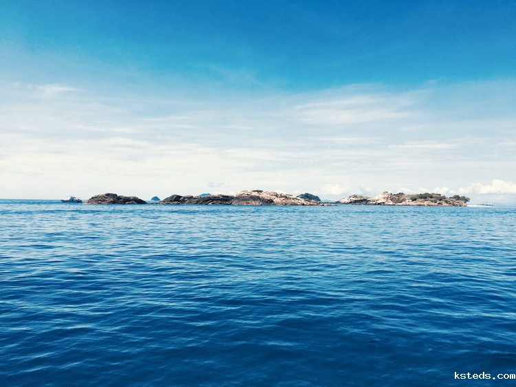 浊度在线检测仪