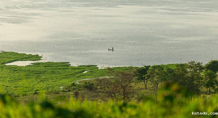 中文在线余氯分析仪