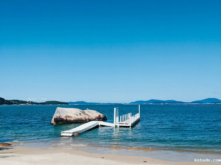 工业在线余氯分析仪