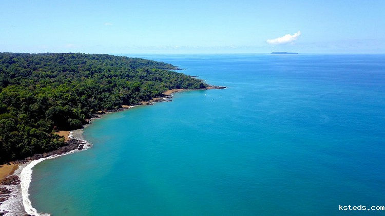 工业在线浊度分析仪