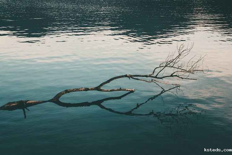 余氯在线监测仪