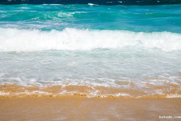 散射式浑浊度仪