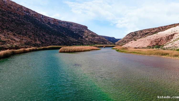便携式余氯比色器