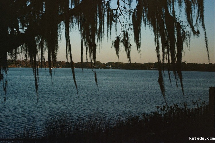 便携式余氯检测仪