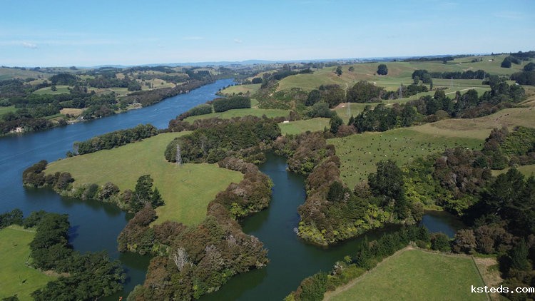 在线余氯检测仪