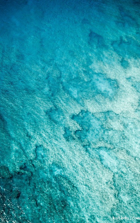 便携式浊度仪 便携式浊度仪